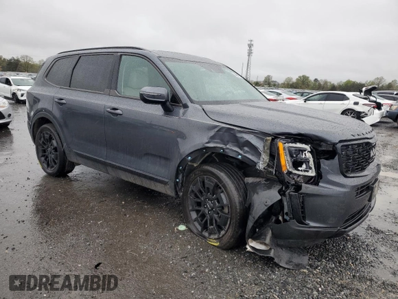 2022 Kia Telluride EX with VIN 5XYP3DHC2NG255732, listed as a Copart auction lot 52604795 with 32,117 mi miles and Salvage title. Bid and sale history available at DreamBid. Image 4.