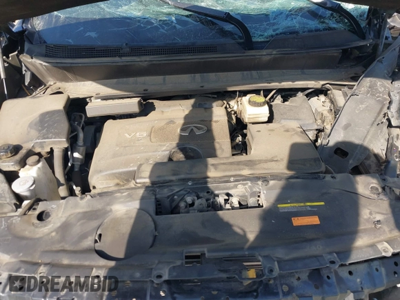 2020 Infiniti QX60 Luxe with VIN 5N1DL0MN2LC519810, listed as a IAAI auction lot 41593542 with Not provided miles and . Bid and sale history available at DreamBid. Image 10.
