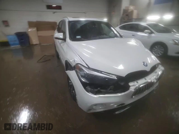 2016 BMW X1 xDrive28i with VIN WBXHT3C3XG5E51117, listed as a Copart auction lot 48243355 with 129,607 mi miles and Salvage Title. Bid and sale history available at carsss.com. Image 13.