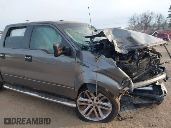 2010 Ford F-150 XL with VIN 1FTEW1C83AFC16015, listed as a IAAI auction lot 41332988 with Not Provided miles and . Bid and sale history available at DreamBid. Image 16.