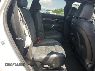 2023 Kia Telluride SX Prestige с VIN 5XYP5DGC2PG374203, выставлен на аукционе Copart как лот 58566825 с пробегом 60 658 миль миль и Списание • Salvage title. История ставок и продаж доступна на DreamBid. Изображение 11.
