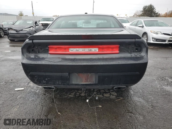 2010 Dodge Challenger R/T z VIN 2B3CJ5DT8AH241086, wystawiony jako Copart lot #80115224 z przebiegiem 110 689 mil mil oraz Szkoda całkowita • Salvage title. Historia ofert i sprzedaży dostępna na DreamBid. Obrazek 6.