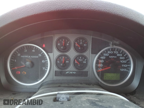 2005 Ford F-150 XLT with VIN 1FTPX04525KD58423, listed as a Copart auction lot 53495845 with 170,209 mi miles and Clean title. Bid and sale history available at DreamBid. Image 9.