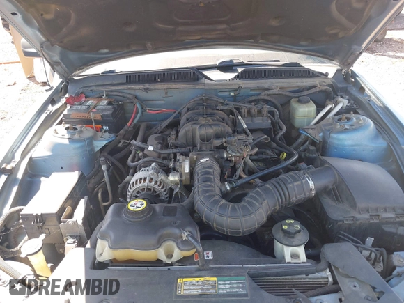 2006 Ford Mustang Standard with VIN 1ZVFT80N965128130, listed as a IAAI auction lot 41985938 with 203,035 mi miles. Bid and sale history available at carsss.com. Image 10.