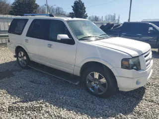 2010 Ford Expedition Limited with VIN 1FMJU1K55AEB69700, listed as a Copart auction lot 48839865 with 185,343 mi miles and Salvage title. Bid and sale history available at DreamBid. Image 4.