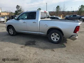 2010 Dodge Ram 1500 SLT with VIN 1D7RB1GP7AS118164, listed as a Copart auction lot 48877555 with 114,099 mi miles and Salvage Title. Bid and sale history available at carsss.com. Image 2.