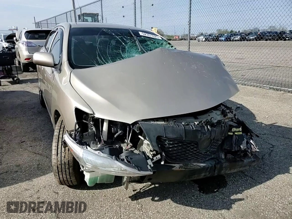 2010 Toyota Corolla with VIN 2T1BU4EE6AC277624, listed as a Copart auction lot 52351625 with Not Provided miles and Salvage Title. Bid and sale history available at DreamBid. Image 10.