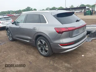 2022 Audi e-tron Premium with VIN WA1AAAGE1NB003892, listed as a IAAI auction lot 42391555 with 48,771 mi miles and . Bid and sale history available at DreamBid. Image 3.