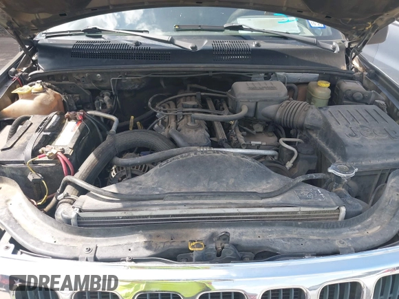 1999 Jeep Grand Cherokee Laredo with VIN 1J4GW58S2XC524365, listed as a IAAI auction lot 42432625 with 284,942 mi miles and . Bid and sale history available at DreamBid. Image 10.