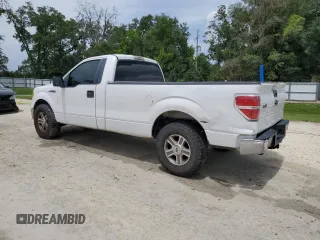 2009 Ford F-150 XL with VIN 1FTRF12W89KB56933, listed as a Copart auction lot 61101415 with 189,462 mi miles and Salvage title. Bid and sale history available at DreamBid. Image 2.