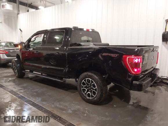 2023 Ford F-150 XL с VIN 1FTEW1EP1PKG06986, выставлен на аукционе IAAI как лот 41710895 с пробегом 9 175 миль миль и . История ставок и продаж доступна на DreamBid. Изображение 3.