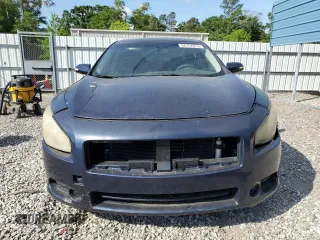 2009 Nissan Maxima SV with VIN 1N4AA51E09C857199, listed as a Copart auction lot 54757815 with 213,356 mi miles and Clean Title. Bid and sale history available at DreamBid. Image 5.