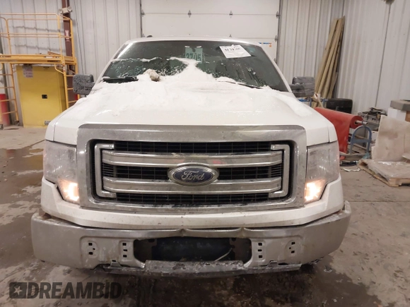 2013 Ford F-150 XL with VIN 1FTEX1CM8DFD14097, listed as a IAAI auction lot 41397500 with 181,838 mi miles. Bid and sale history available at carsss.com. Image 12.