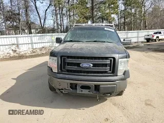 2014 Ford F-150 XL with VIN 1FTMF1EM3EKE99275, listed as a Copart auction lot 48309175 with 213,384 mi miles and Salvage Title. Bid and sale history available at carsss.com. Image 10.