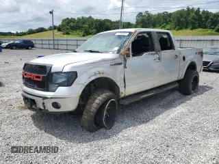 2010 Ford F-150 XL with VIN 1FTEW1C84AKE62319, listed as a Copart auction lot 59796895 with 179,589 mi miles and Salvage title. Bid and sale history available at DreamBid. Image 1.