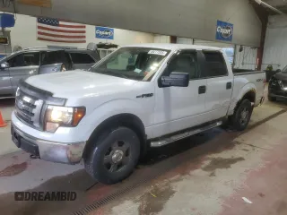 2009 Ford F-150 XL with VIN 1FTRW14839FA40238, listed as a Copart auction lot 49277535 with 129,875 mi miles and Salvage Title. Bid and sale history available at carsss.com. Image 1.