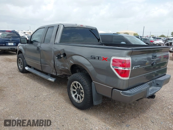 2009 Ford F-150 STX with VIN 1FTRX12W99FB20531, listed as a IAAI auction lot 42615965 with 206,508 mi miles and . Bid and sale history available at DreamBid. Image 3.