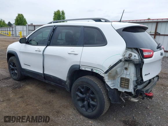 2017 Jeep Cherokee Trailhawk z VIN 1C4PJMBS7HW538219, wystawiony jako IAAI lot #42337681 z przebiegiem 168 734 mil mil oraz . Historia ofert i sprzedaży dostępna na DreamBid. Obrazek 3.