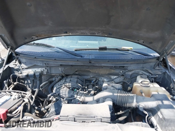 2012 Ford F-150 XL with VIN 1FTEX1EM7CFA38197, listed as a IAAI auction lot 42380231 with 135,174 mi miles and . Bid and sale history available at DreamBid. Image 10.