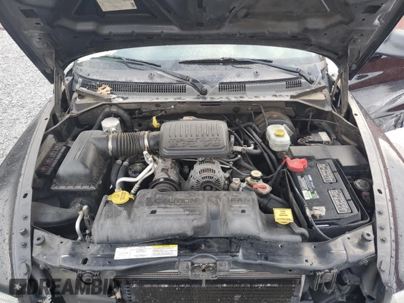 2004 Dodge Dakota Sport with VIN 1D7HL38K84S780671, listed as a Copart auction lot 88005165 with 201,450 mi miles and Salvage Title. Bid and sale history available at carsss.com. Image 11.