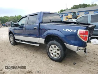 2010 Ford F-150 XL with VIN 1FTFW1EV1AFB61006, listed as a Copart auction lot 55947645 with 111,237 mi miles and Salvage title. Bid and sale history available at DreamBid. Image 2.