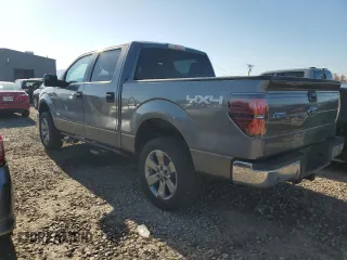 2013 Ford F-150 XL with VIN 1FTFW1ET6DFB46360, listed as a Copart auction lot 55468225 with 288,206 mi miles and Clean Title. Bid and sale history available at carsss.com. Image 2.