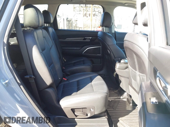 2021 Kia Telluride EX with VIN 5XYP3DHC5MG137169, listed as a IAAI auction lot 41635390 with 75,337 mi miles and . Bid and sale history available at DreamBid. Image 8.