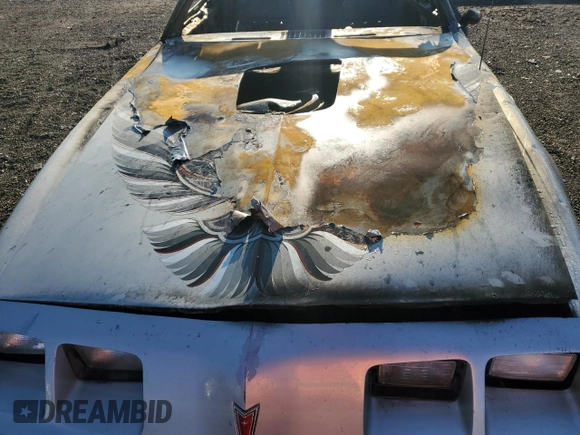 1979 Pontiac Firebird with VIN 2XB87K9L170230, listed as a Copart auction lot 78530924 with Not provided miles and Salvage title. Bid and sale history available at DreamBid. Image 11.