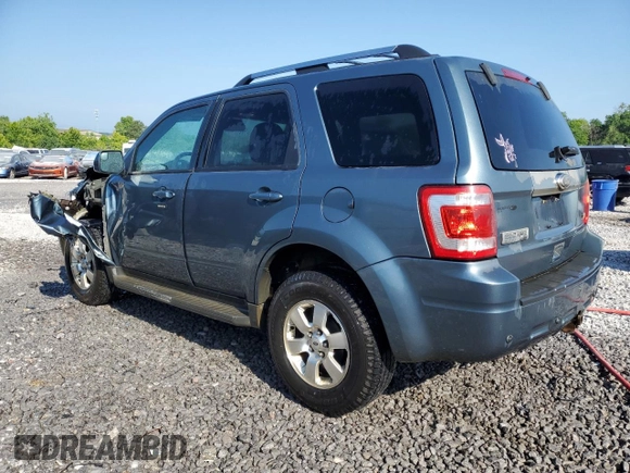 2010 Ford Escape Limited with VIN 1FMCU0EG5AKD24442, listed as a Copart auction lot 59875095 with 157,794 mi miles and Salvage title. Bid and sale history available at DreamBid. Image 2.