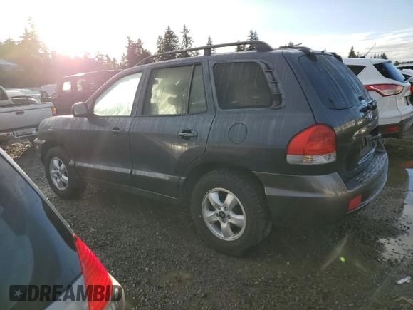 2005 Hyundai Santa Fe GLS with VIN KM8SC73D45U987706, listed as a Copart auction lot 77706174 with 160,646 mi miles and Salvage Title. Bid and sale history available at carsss.com. Image 2.