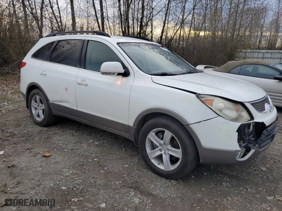 2009 Hyundai Veracruz GLS with VIN KM8NU73C69U092063, listed as a Copart auction lot 79661134 with 164,173 mi miles and Salvage Title. Bid and sale history available at carsss.com. Image 4.
