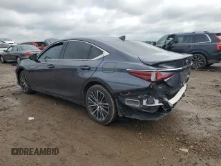 2022 Lexus ES 250 with VIN 58AD11D13NU009089, listed as a Copart auction lot 59532615 with 43,248 mi miles and Salvage title. Bid and sale history available at DreamBid. Image 2.