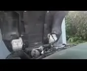 1985 Chevrolet Corvette с VIN 1G1YY0787F5124214, выставлен на аукционе IAAI как лот 42810797 с пробегом 79 567 миль миль и . История ставок и продаж доступна на DreamBid. Изображение 15.