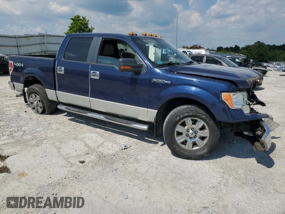 2010 Ford F-150 XL with VIN 1FTFW1EV9AFB05704, listed as a Copart auction lot 63180505 with Not provided miles and Salvage title. Bid and sale history available at DreamBid. Image 4.