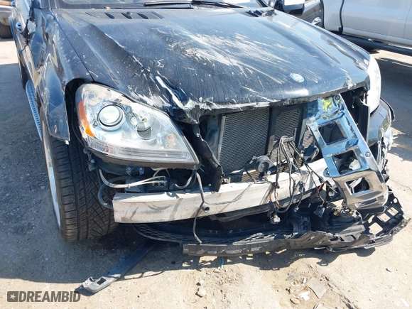 2009 Mercedes-Benz GL-Class 5.5L with VIN 4JGBF86E59A498918, listed as a IAAI auction lot 40603852 with 226,239 mi miles. Bid and sale history available at carsss.com. Image 6.
