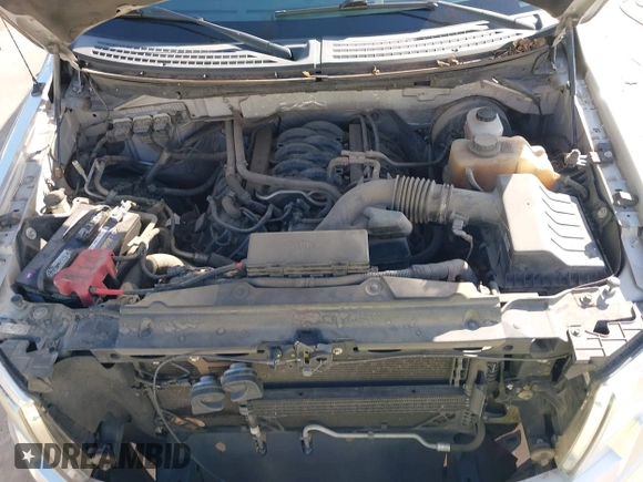 2013 Ford F-150 XL with VIN 1FTFX1CF7DFA46066, listed as a IAAI auction lot 41978103 with 131,722 mi miles. Bid and sale history available at carsss.com. Image 10.
