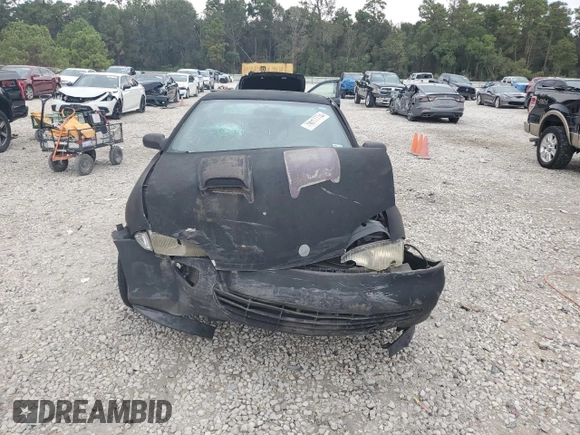 1997 Chevrolet Cavalier with VIN 1G1JC1242V7242801, listed as a Copart auction lot 79017774 with 336,940 mi miles and Salvage Title. Bid and sale history available at carsss.com. Image 5.