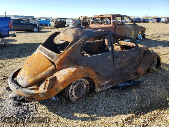 1969 Volkswagen Beetle with VIN 119732081, listed as a Copart auction lot 73503964 with Not Provided miles and Non Repairable. Bid and sale history available at DreamBid. Image 3.