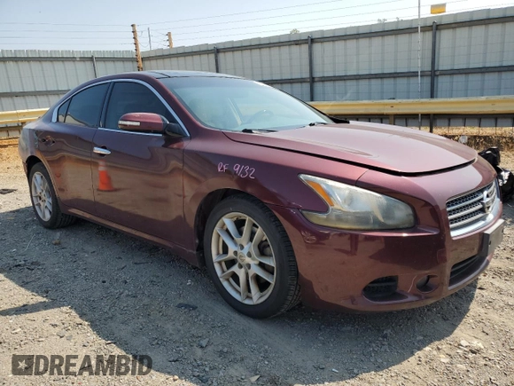 2010 Nissan Maxima SV with VIN 1N4AA5AP8AC837983, listed as a Copart auction lot 58348055 with 217,023 mi miles and Salvage title. Bid and sale history available at DreamBid. Image 4.