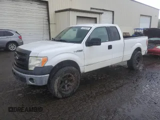 2014 Ford F-150 XL with VIN 1FTFX1CF9EKF77309, listed as a Copart auction lot 61688255 with 141,480 mi miles and Clean title. Bid and sale history available at DreamBid. Image 1.
