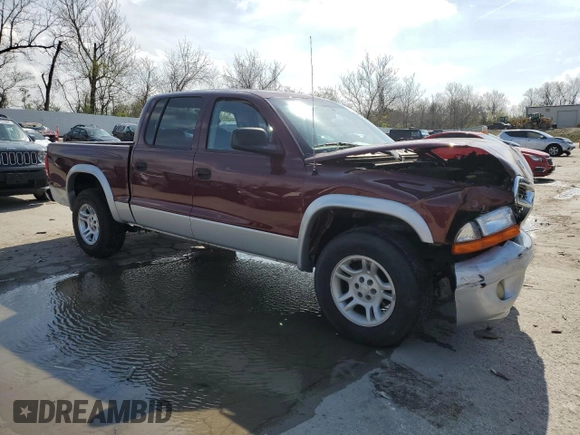 2003 Dodge Dakota SLT with VIN 1D7HL48N43S168353, listed as a Copart auction lot 51313975 with 213,540 mi miles and Salvage Title. Bid and sale history available at carsss.com. Image 4.