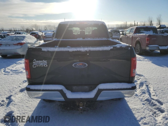 2016 Ford F-150 XLT with VIN 1FTEX1EP8GFB72703, listed as a Copart auction lot 42922645 with 161,682 mi miles and Salvage Title. Bid and sale history available at carsss.com. Image 6.