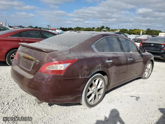 2009 Nissan Maxima 3.5 SV w/Sport Pkg with VIN 1N4AA51E59C828507, listed as a Copart auction lot 83886514 with 0 mi miles and Clean Title. Bid and sale history available at carsss.com. Image 3.