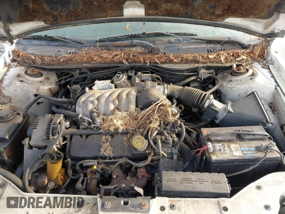 1997 Ford Taurus GL z VIN 1FALP52UXVA107778, wystawiony jako IAAI lot #42069491 z przebiegiem 57 736 mil mil oraz . Historia ofert i sprzedaży dostępna na DreamBid. Obrazek 10.