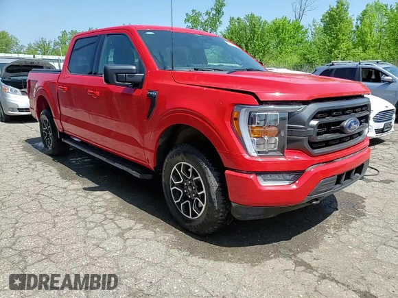 2023 Ford F-150 XL z VIN 1FTEW1EP2PKD37574, wystawiony jako Copart lot #55490505 z przebiegiem 11 162 mil mil oraz Czysty tytuł • Clean title. Historia ofert i sprzedaży dostępna na DreamBid. Obrazek 13.