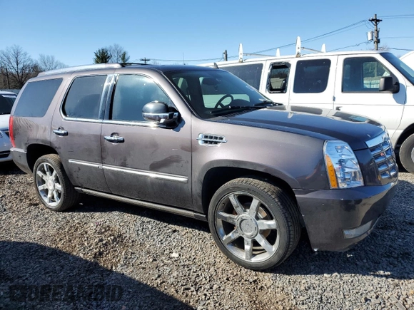 2010 Cadillac Escalade Premium with VIN 1GYUKCEF2AR264970, listed as a Copart auction lot 49448435 with 153,957 mi miles and Salvage title. Bid and sale history available at DreamBid. Image 4.
