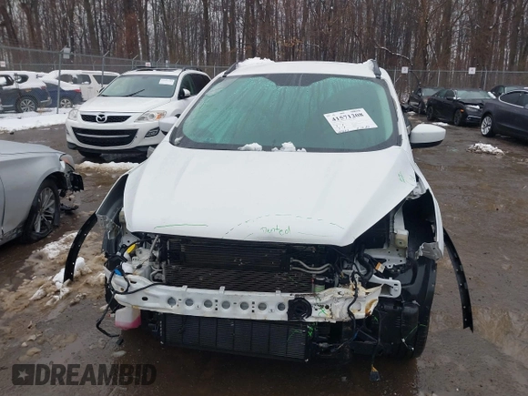 2018 Ford Escape SEL with VIN 1FMCU9HD9JUA69594, listed as a IAAI auction lot 41571208 with 124,193 mi miles. Bid and sale history available at carsss.com. Image 12.