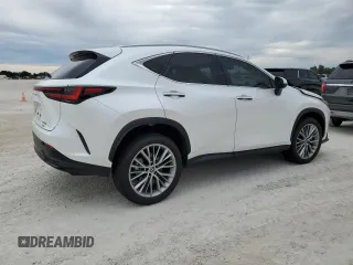2022 Lexus NX with VIN 2T2GKCEZXNC008682, listed as a Copart auction lot 77434873 with Not Provided miles. Bid and sale history available at carsss.com. Image 3.