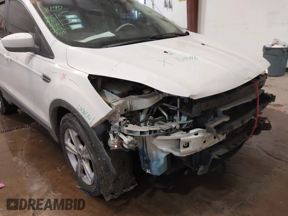 2014 Ford Escape SE with VIN 1FMCU0GX7EUA70224, listed as a IAAI auction lot 41547878 with 130,770 mi miles. Bid and sale history available at carsss.com. Image 6.