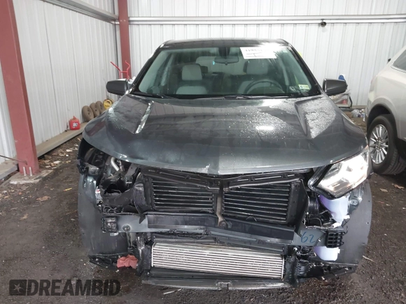 2019 Chevrolet Equinox LS with VIN 3GNAXHEV6KL125584, listed as a IAAI auction lot 41955103 with 62,992 mi miles. Bid and sale history available at carsss.com. Image 6.